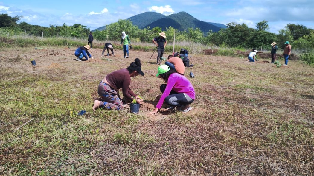 Oficina de Agroecologia em Surumu (RR) durante o plantio das mudas arbóreas para recuperação do solo. Foto: Gilmara Fernandes
