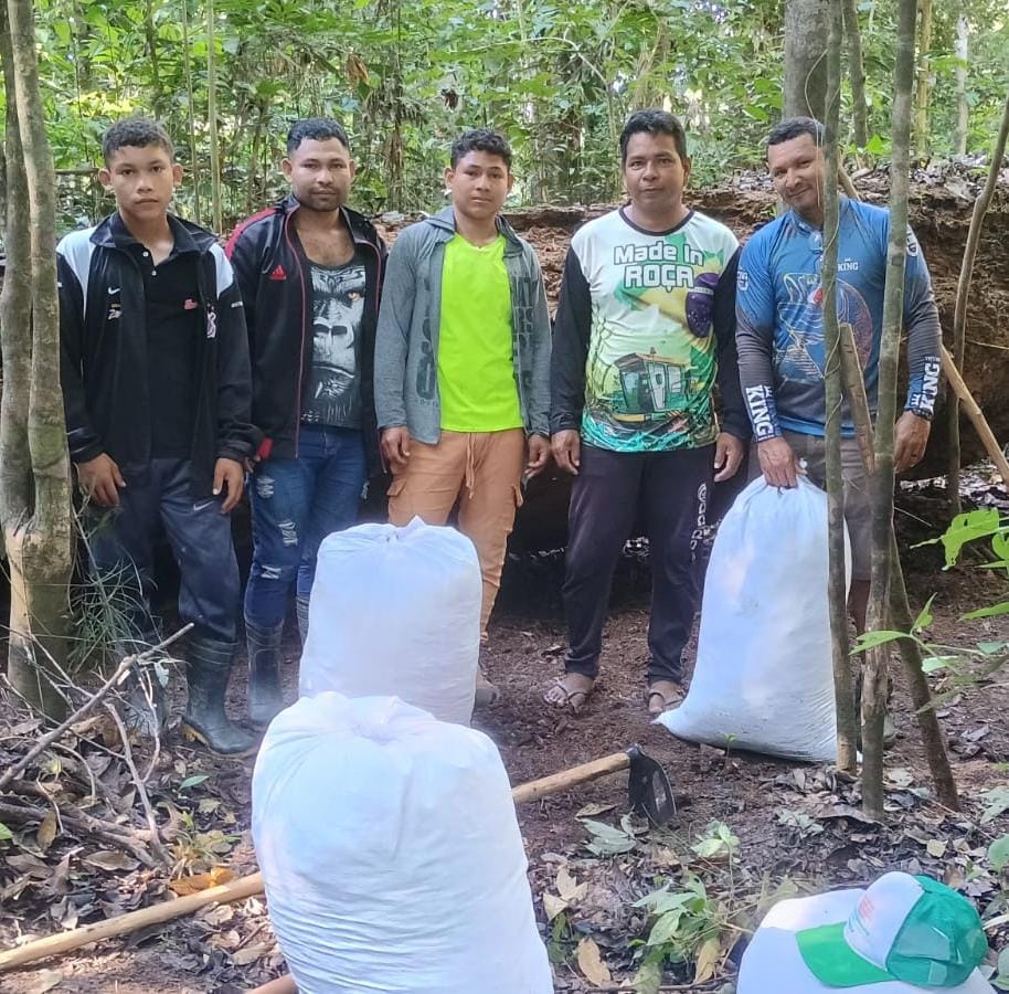 Jovens coletam paú, adubo da floresta para os canteiros. Foto Áila Santos/Cimi Regional Norte 1