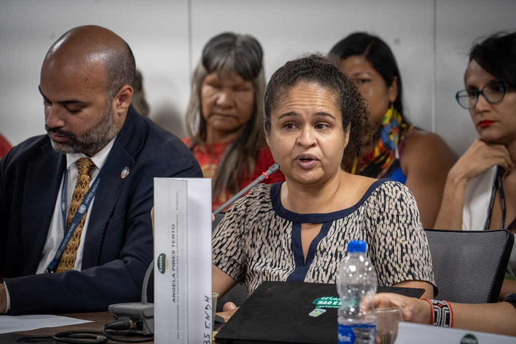 Angela Pires, assessora do Escritório da ONU em Direitos Humanos, durante o 1º Pleno Extraordinário do Conselho Nacional dos Direitos Humanos (CNDH). Foto: Adi Spezia | Cimi 