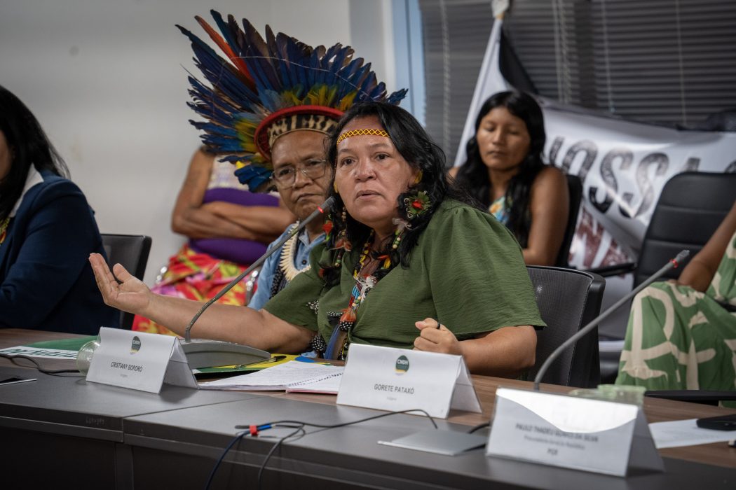 1º Pleno Extraordinário do Conselho Nacional dos Direitos Humanos (CNDH). Foto: Adi Spezia | Cimi