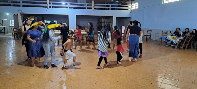 Atualmente, vivem no Kandóia cerca de 110 famílias. Foto: Roberto Liebgtt/Cimi Sul