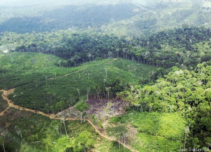 Indígenas e indigenistas alertam para urgência de retirar invasores da Terra Indígena Cachoeira Seca (PA)