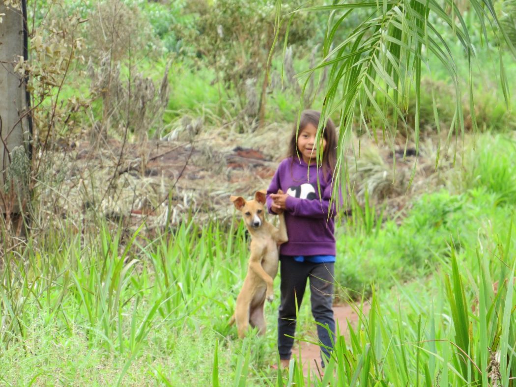 Sob o Manto Azul de Aparecida: o grito da inocência ferida em Guyraroká
