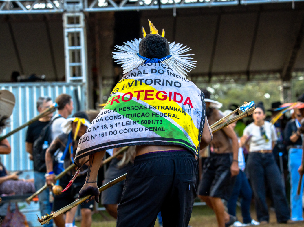 Foto: Avaaz, Apib e Up Comunicação Inteligente | Divulgação 