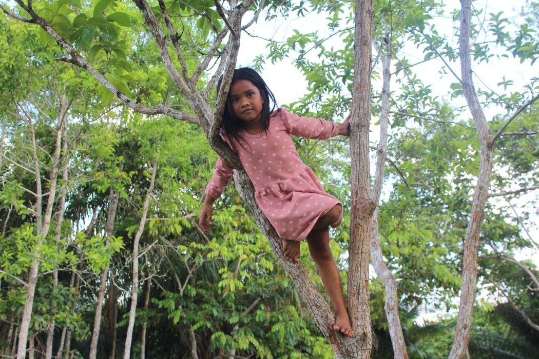 O tema central foi o direito à educação de qualidade, diferenciada, específica e bilíngue, conforme prevê a legislação brasileira. Daniel dos Santos Lima | Cimi Regional Norte 1
