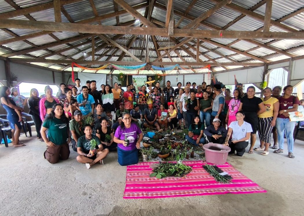 Oficinas de Valorização e Incentivo às Práticas e Saberes Tradicionais de Saúde. Foto: Acervo Cimi Regional Norte 1