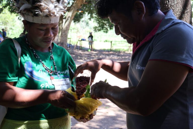 Oeste do Paraná: As plantas que curam são ancestralidade Guarani