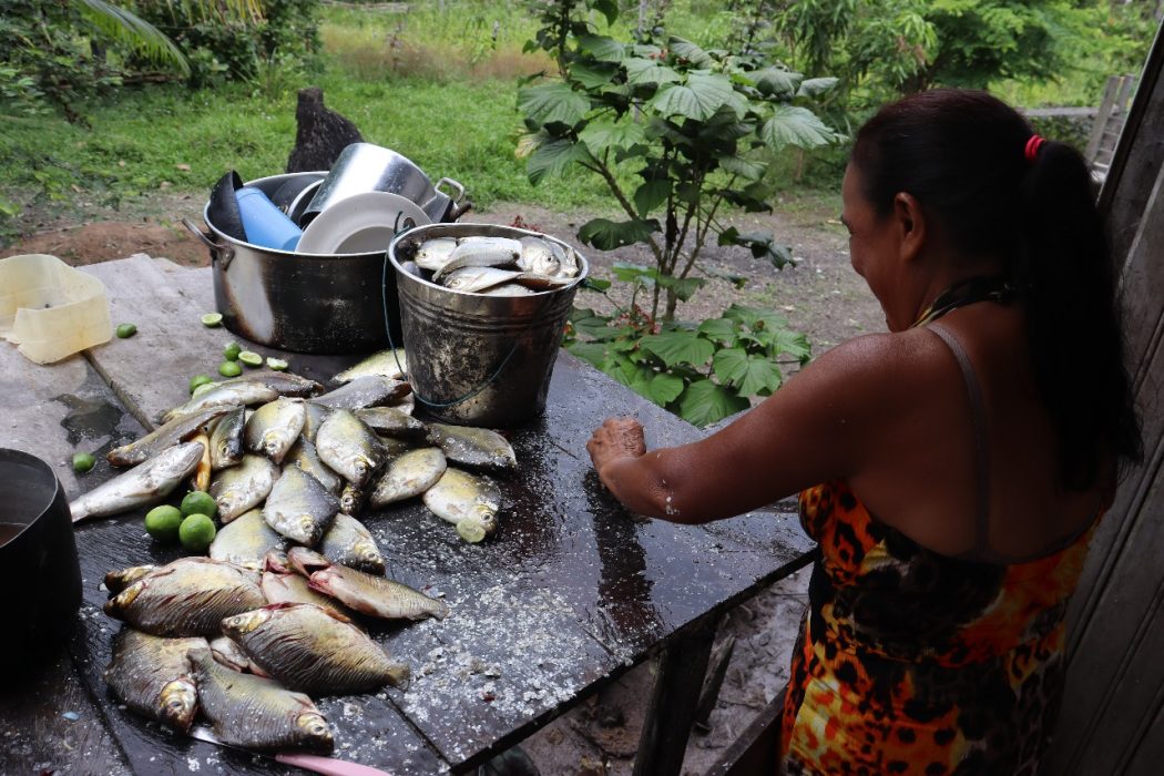 Festa da Pirapukeka, no Amazonas. Foto: Acervo Equipe Borba Cimi Regional Norte 1