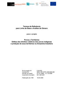 Termos de Referência para Linha de Base e Análise de Gênero – projeto Povos e Territórios: Defesa dos direitos coletivos dos povos indígenas e proteção de seus territórios na Amazônia brasileira
