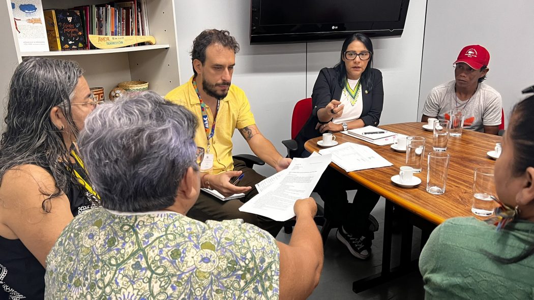 Indígenas de Goiás e Tocantins em audiência com representantes MEC, em Brasília. Foto: Adi Spezia / Cimi