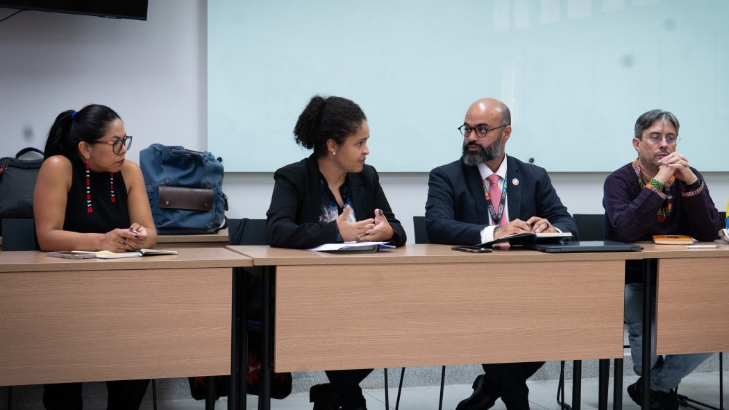 Lideranças apresentaram denúncias e demandas ao Alto Comissariado das Nações Unidas para os Direitos Humanos (ACNUDH). Foto: Clara Comandolli | Cimi