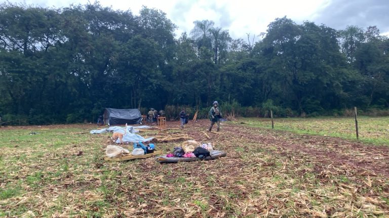 TRF4 suspende despejo de Avá-Guarani em Guaíra (PR) e reverte decisão que incluía apreensão de crianças indígenas