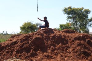 A ferida aberta na TI Cerrito, dos Guarani Nhandeva: um grito por justiça e preservação
