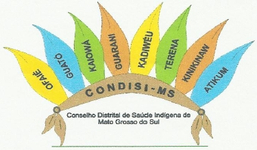 Conselho Distrital de Saúde Indígena de Mato Grosso do Sul...