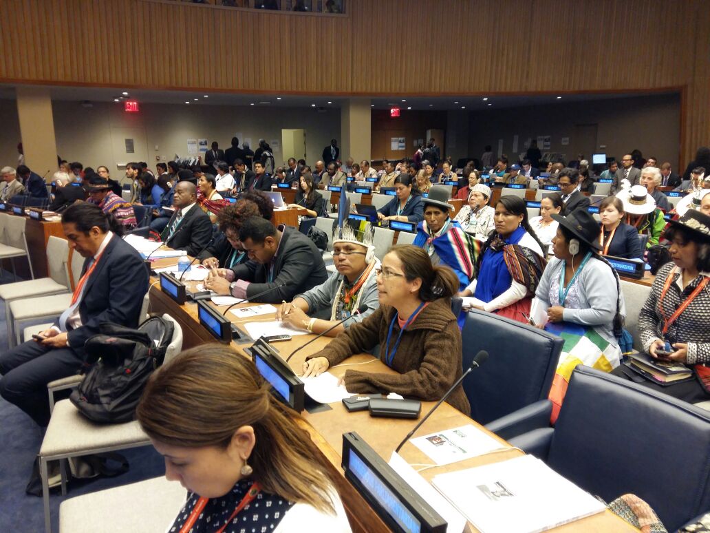Em Fórum da ONU indígenas e Cimi denunciam violências e...