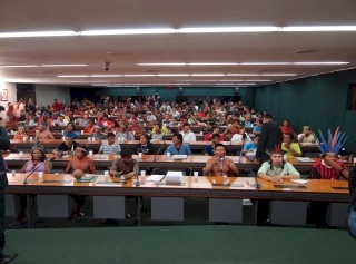 Povos Indígenas no Congresso Nacional: afastando os maus espíritos...
